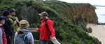 Anglesea Beach Lookout