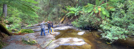 Erskine Falls